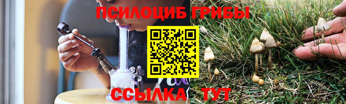 Галлюциногенные грибы GOLDEN TEACHER  Псилоцибиновые грибы мухоморы  Ростов Великий  Вход с VPN 
